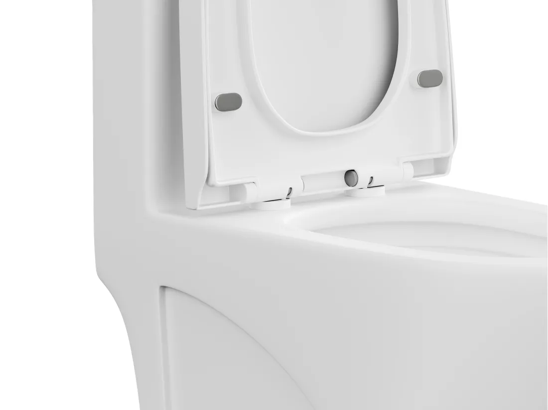 WC à poser blanc mat en céramique - Evacuation horizontale - NAGILAM