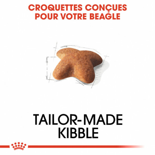 Croquettes Royal Canin Beagle Adulte