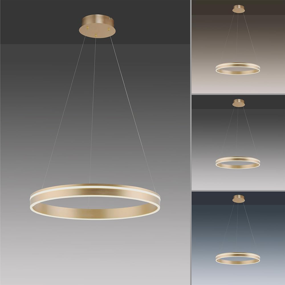 Paul Neuhaus Q-VITO LED Pendelleuchte, Works with Alexa – Smart Home, Fernbedienung CCT warmeiß – kaltweiß (59cm Messing)