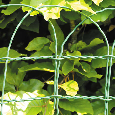 HORTUS ”Ursus” Havehegn plastbelagt 10 meter x 65 cm høj - grøn
