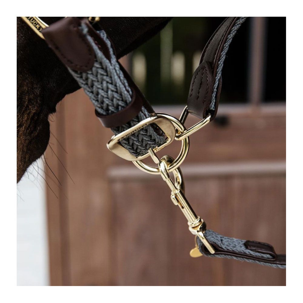 Kentucky LAINE 2M - Laisse pour chien gris