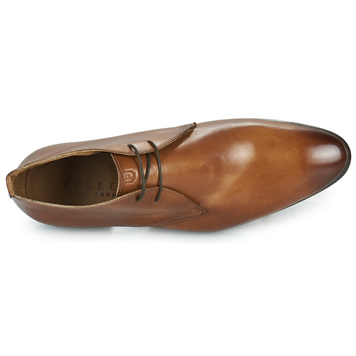 Pellet - ANTONIN - VEAU COGNAC