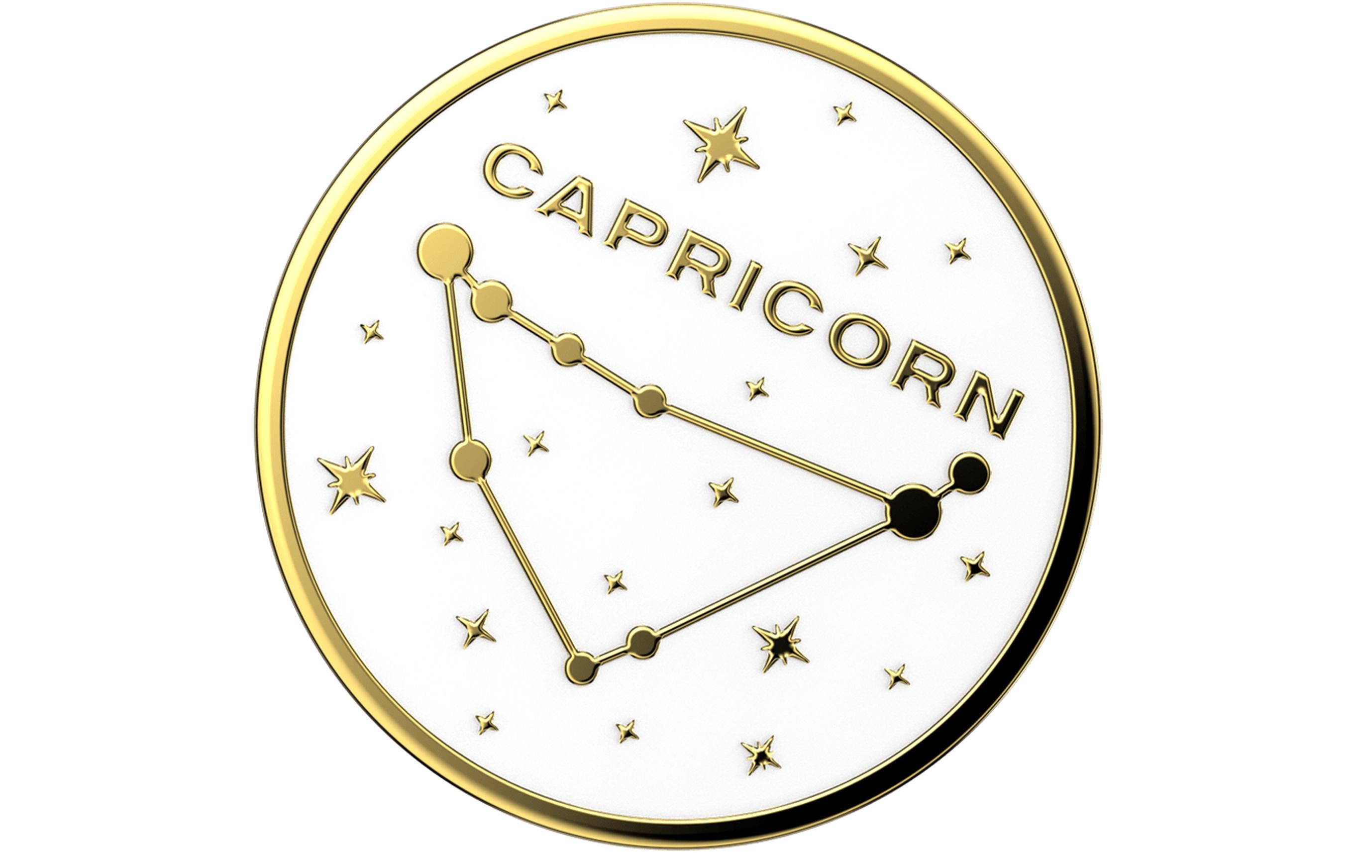 Halterung Premium CapricornHaltegriff für Mobilgeräte