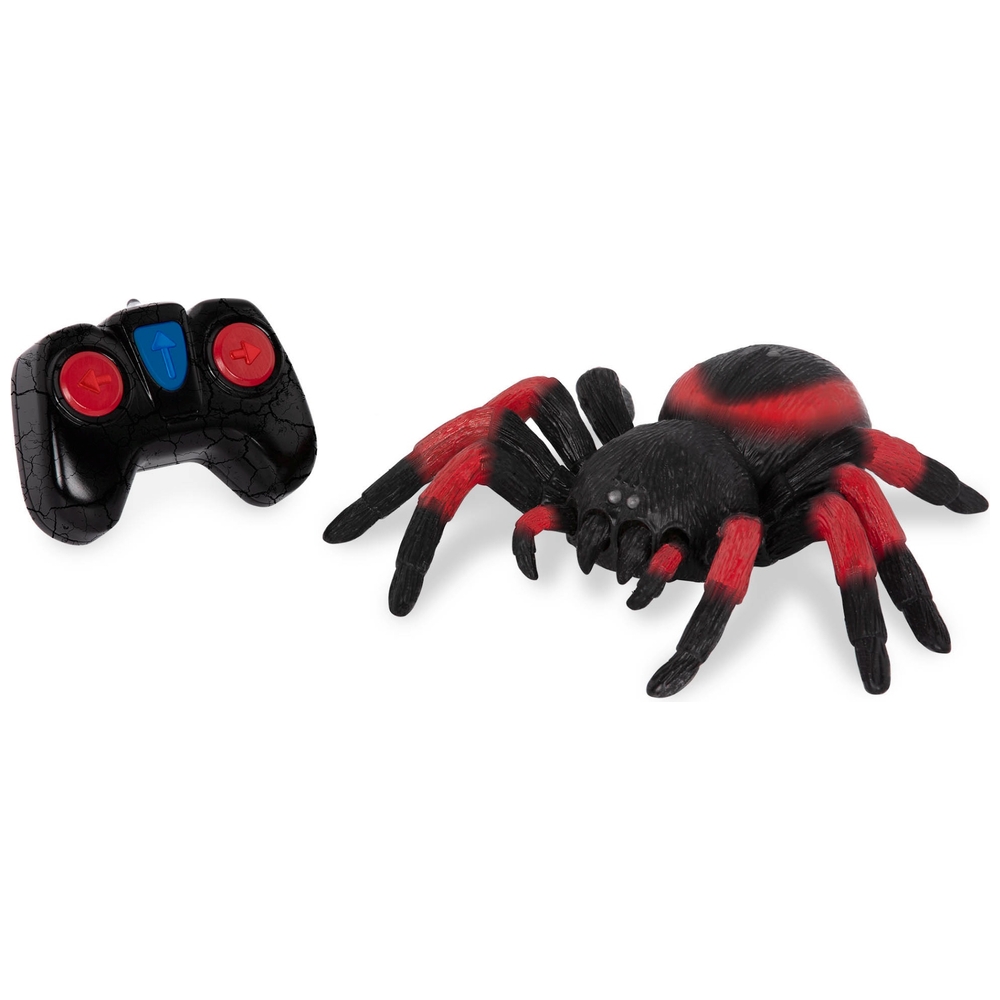 Terra ferngesteuerte Spinne Tarantel