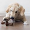Benebone - Zaggler Peanut M 8cm