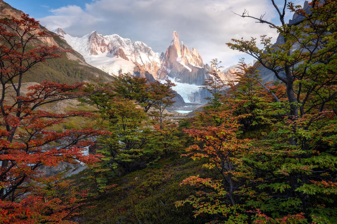 The Vision by William Patino - Limited Edition. Edition of: 100. Signed.
