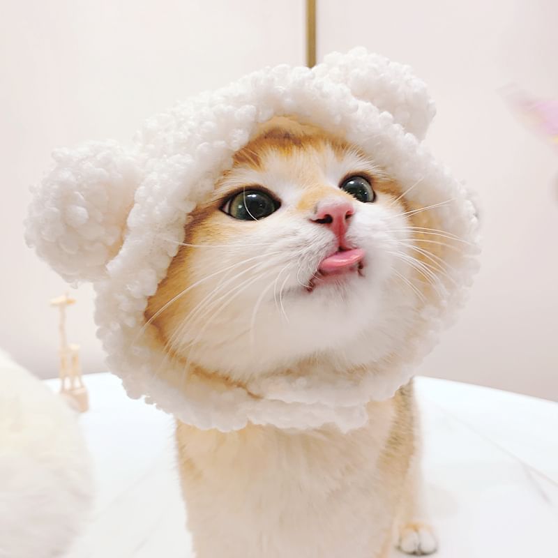 tanvtim - Animal Ear Chenille Pet Hat (verschillende ontwerpen)