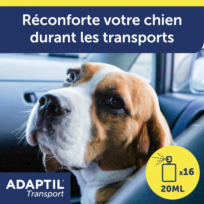 ADAPTIL Transport
