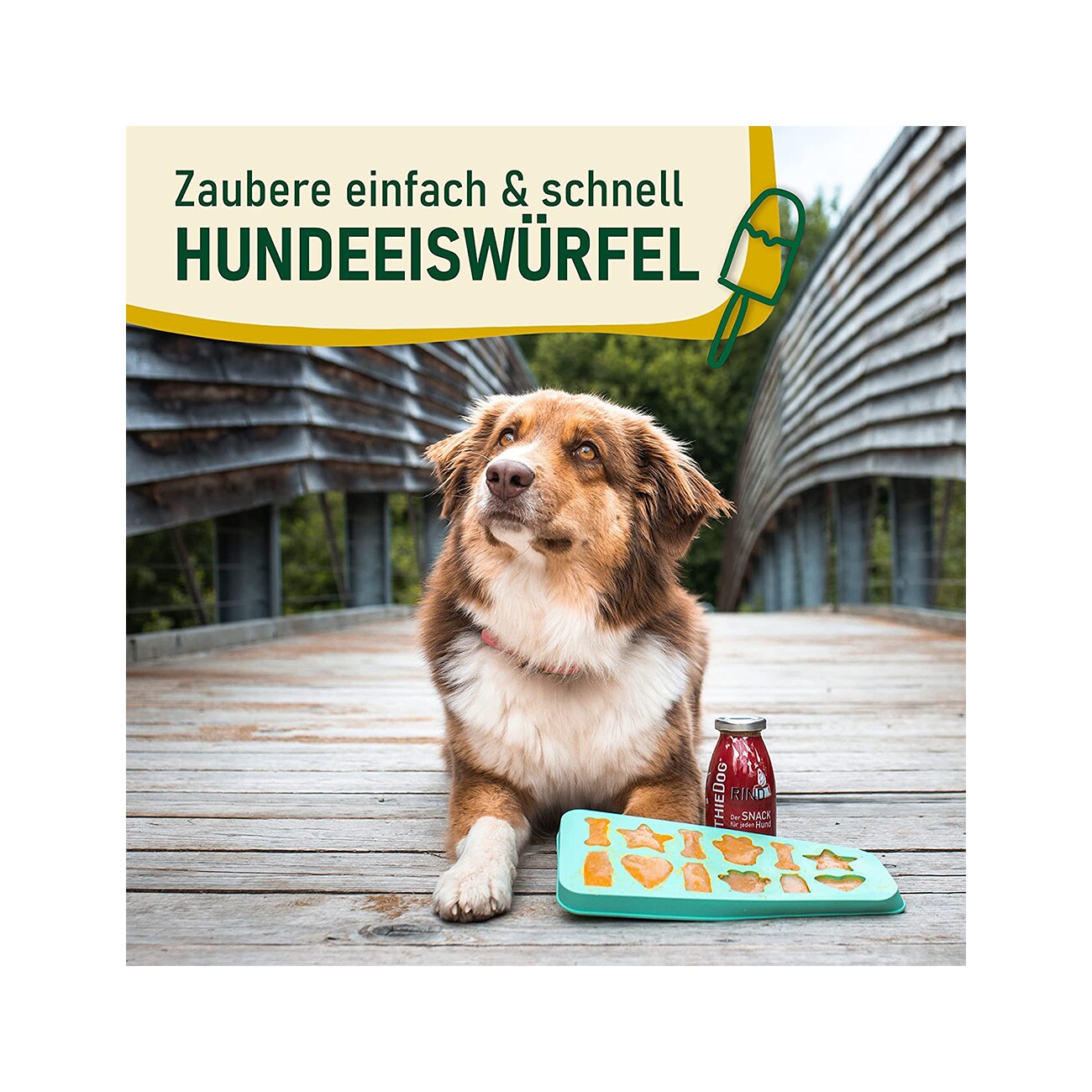SmoothieDog Mix 6x 250 ml + Eiswürfelform