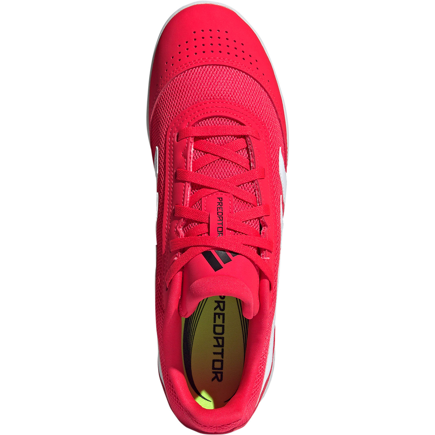 adidas Predator Club Indoor