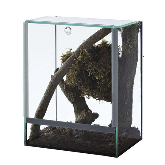 Terrarium insectes