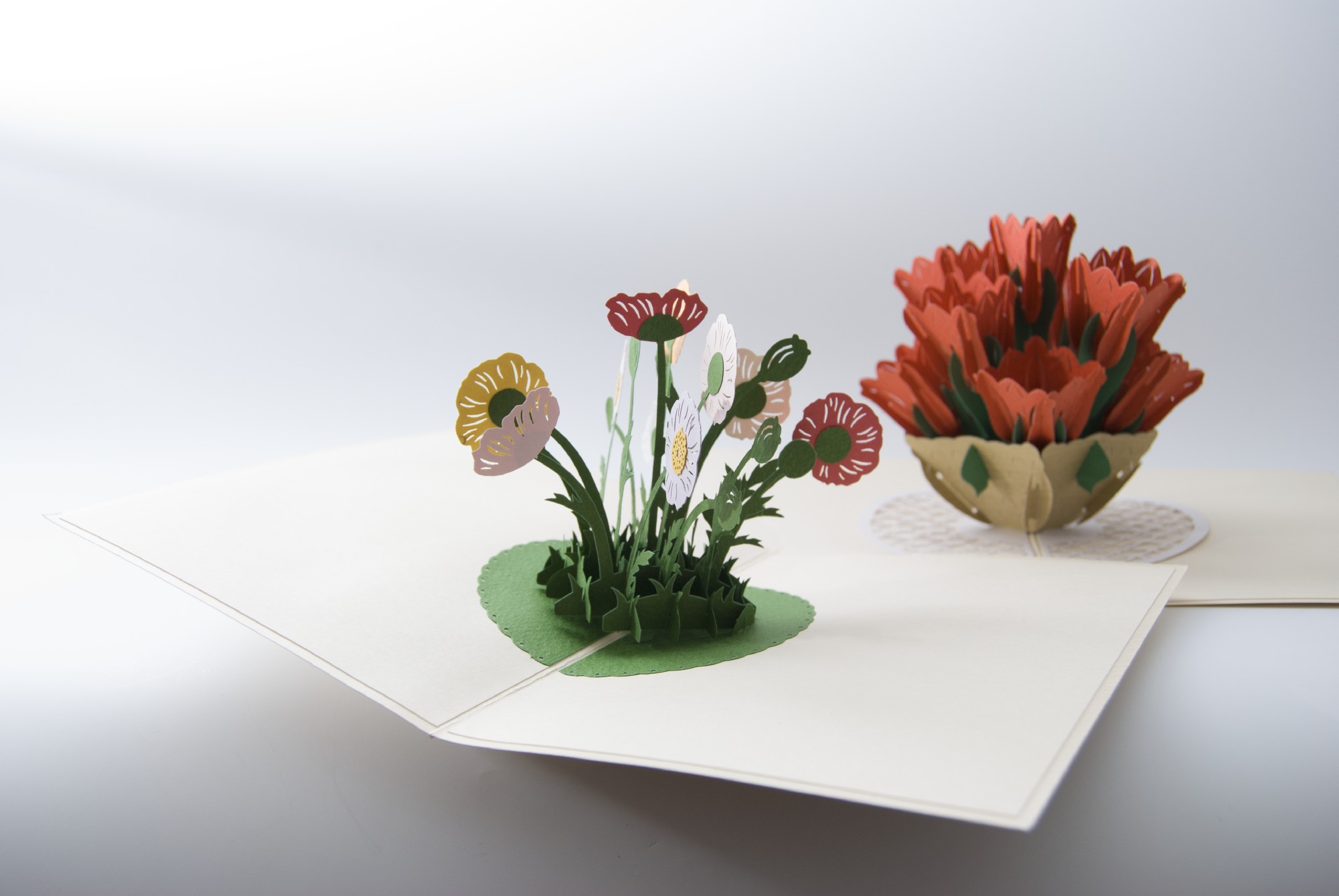 Pop-Up Karte 'Tulpe', rot, L 18 cm, B 13 cm günstig bestellen