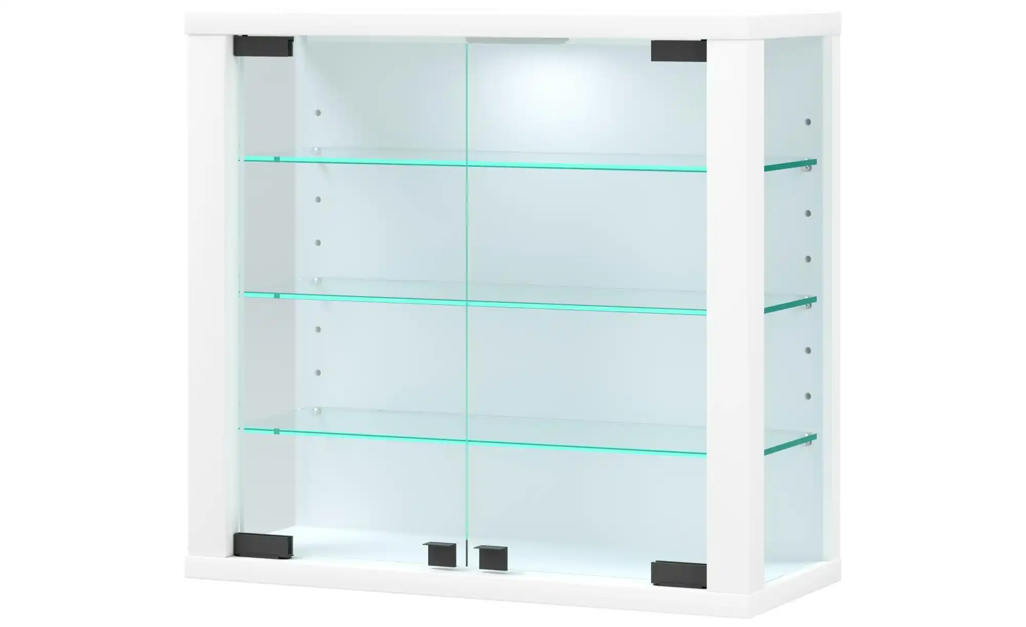 Hängevitrine