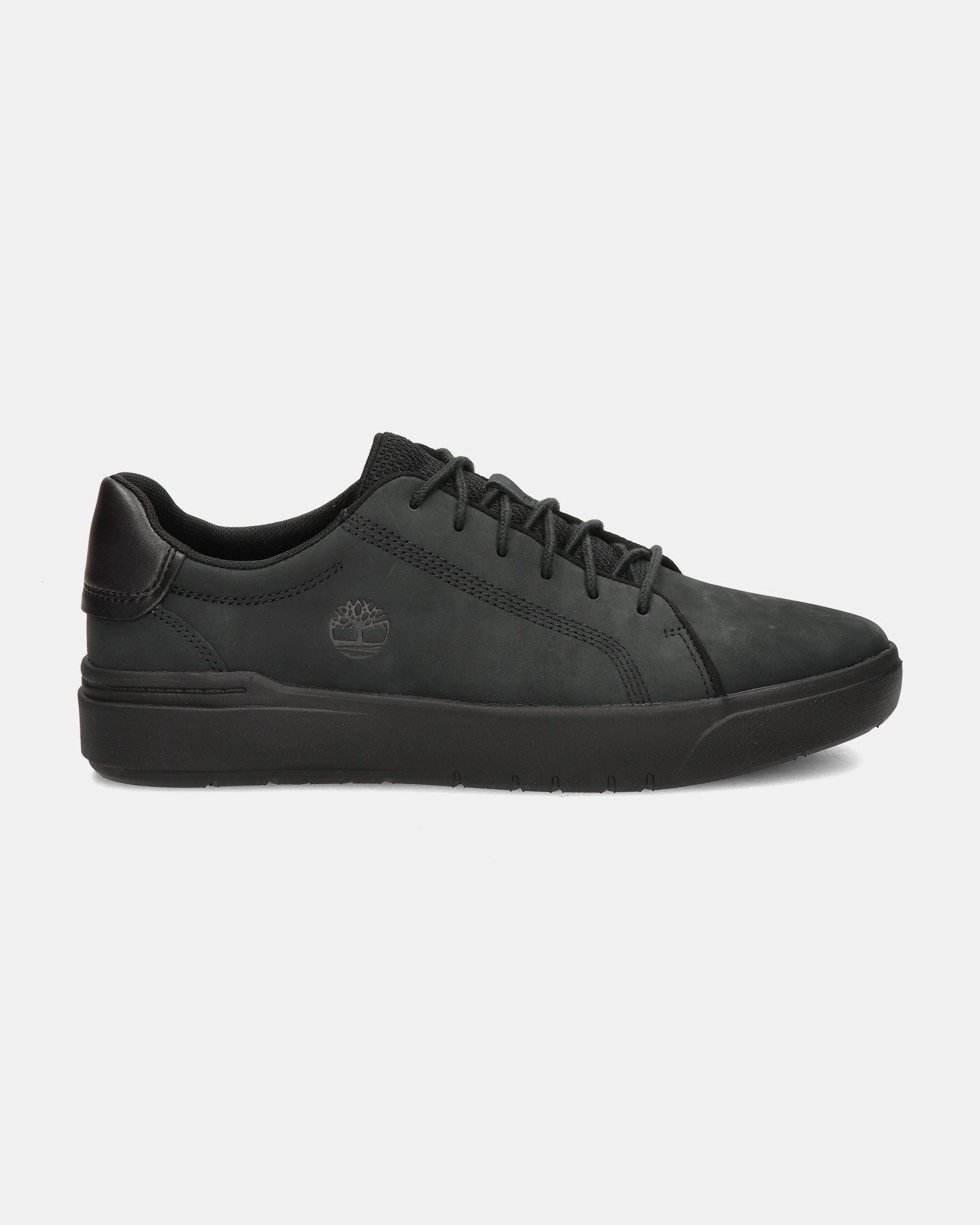 Timberland Seneca Bay Lage sneakers  - zwart