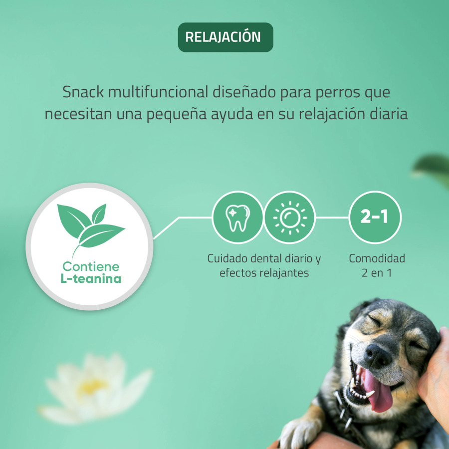 Lenços umedecidos Virbac Veggiedent Zen S para cães