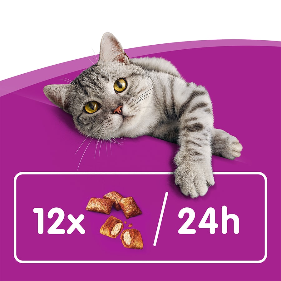 Whiskas Petiscos Anti-Bolas de Pelo para Gatos