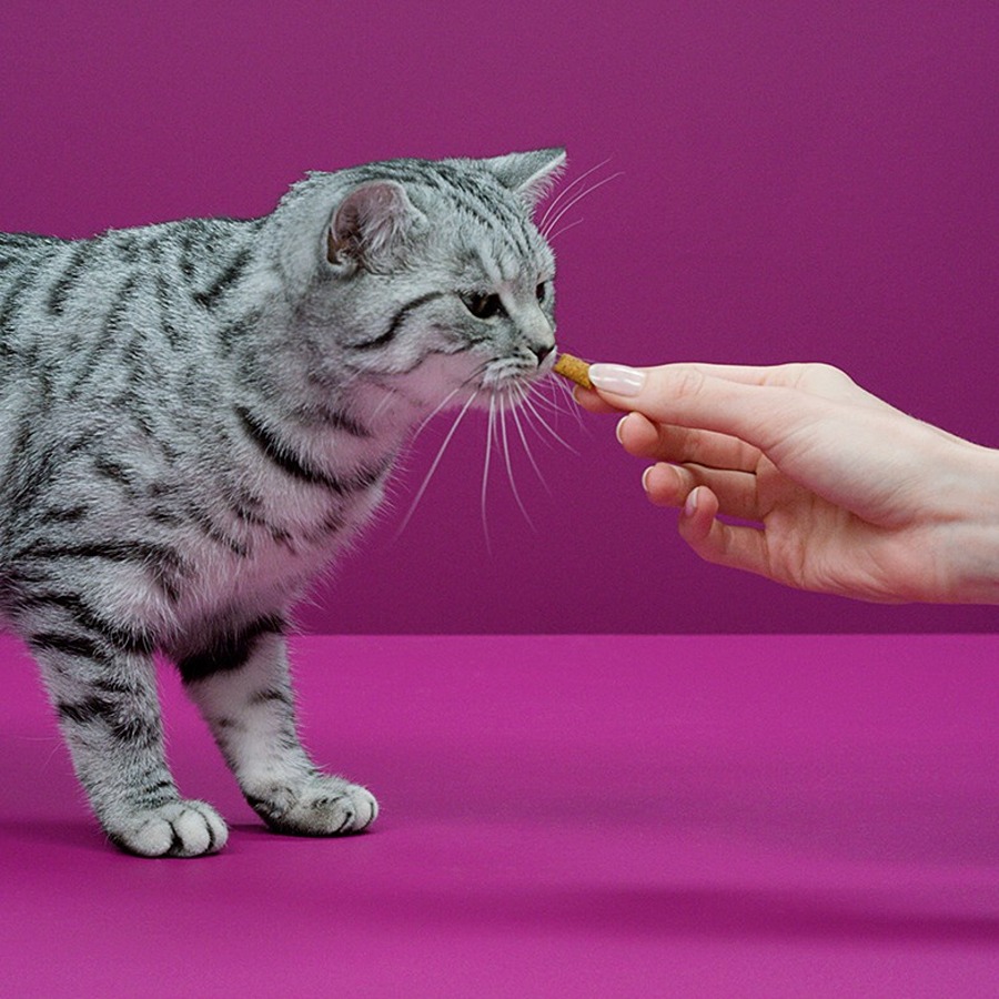 Whiskas Temptations Snacks Salmón para Gatos