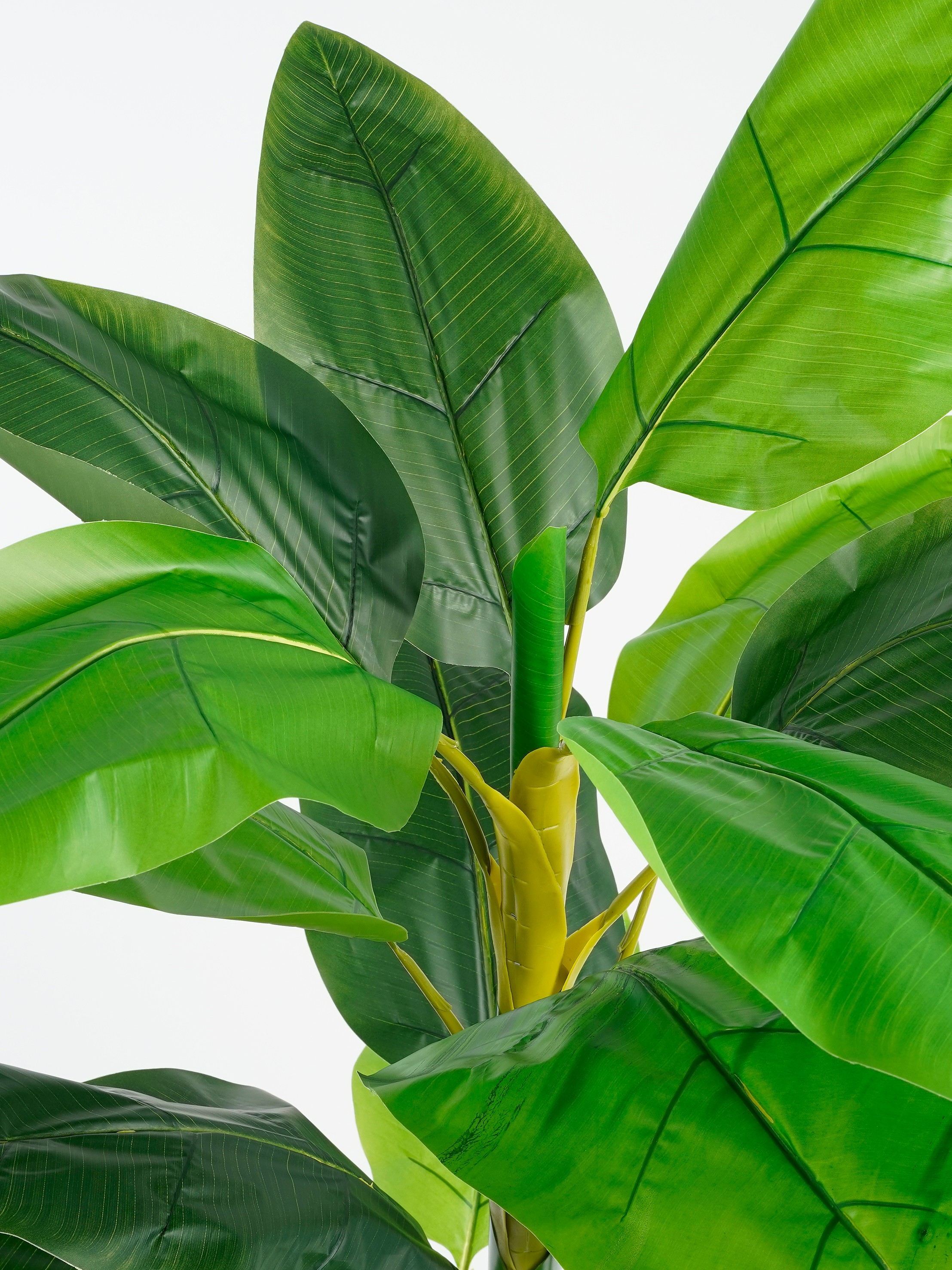 Strelitzia artificielle vert en pot h150