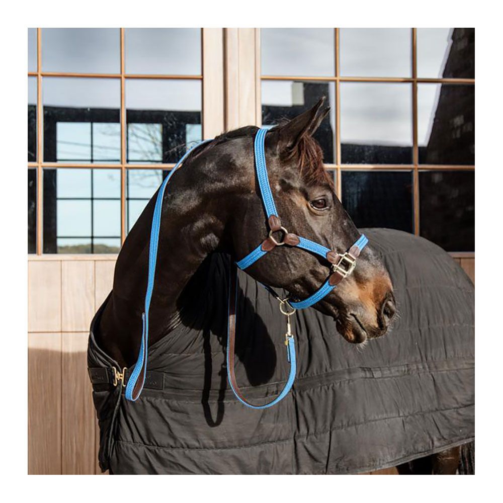 Kentucky 42549 - Laisse pour chien bleu