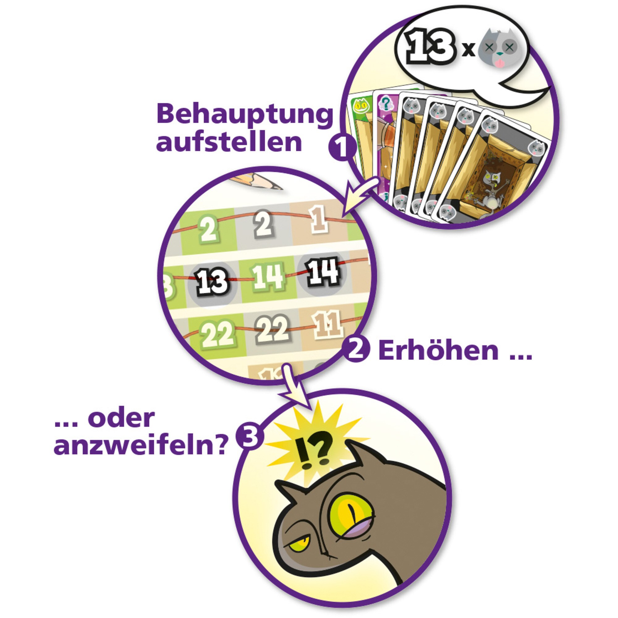 Amigo Brettspiel Schrödingers Katzen