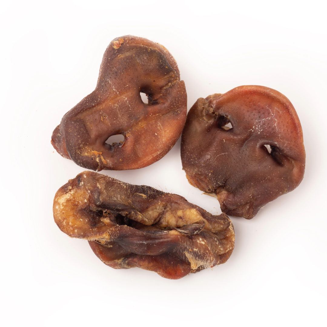 Focinhos de porco BIMORDICOS para cães