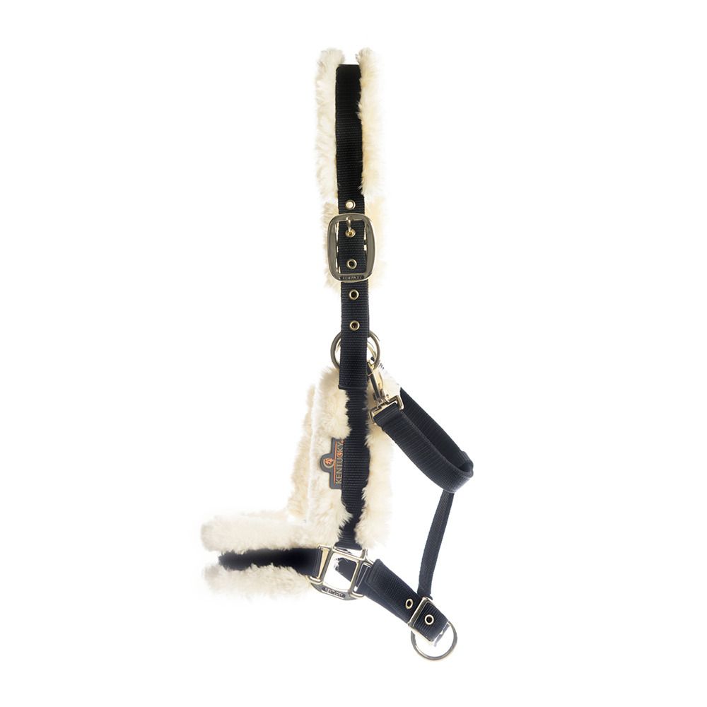 Kentucky NYLON MOUTON - Licol naturel