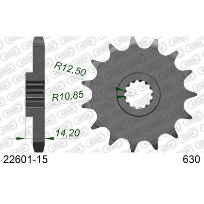Kit chaine AFAM 630 Type Acier