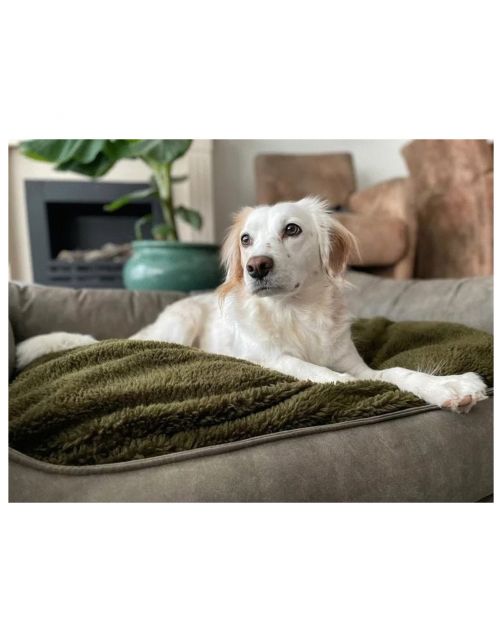 Maxxnobel Orthopedische Sofa Lederlook\/Teddy Olijfgroen - Hondenbank