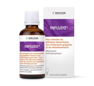 INFLUDO Tropfen, 50 ml