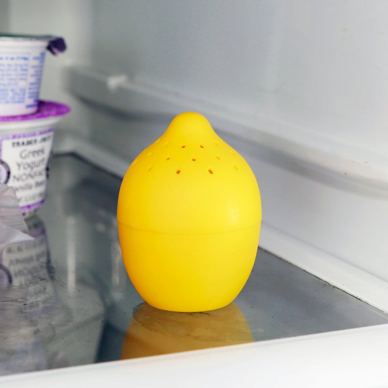 Lemon And Lime Fridge Freshener