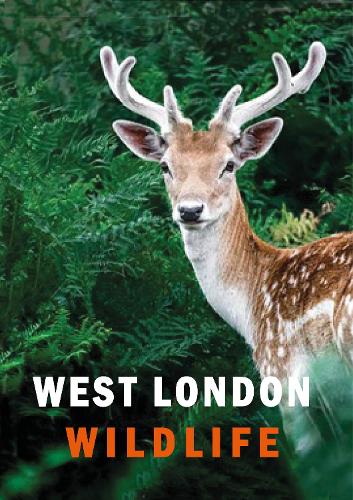 West London Wildlife (Hardback)