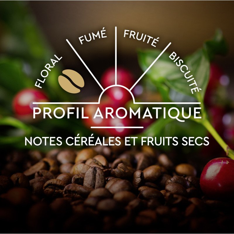 Capsules de café Carte Noire L'Iconique N°7 - Boîte de 30