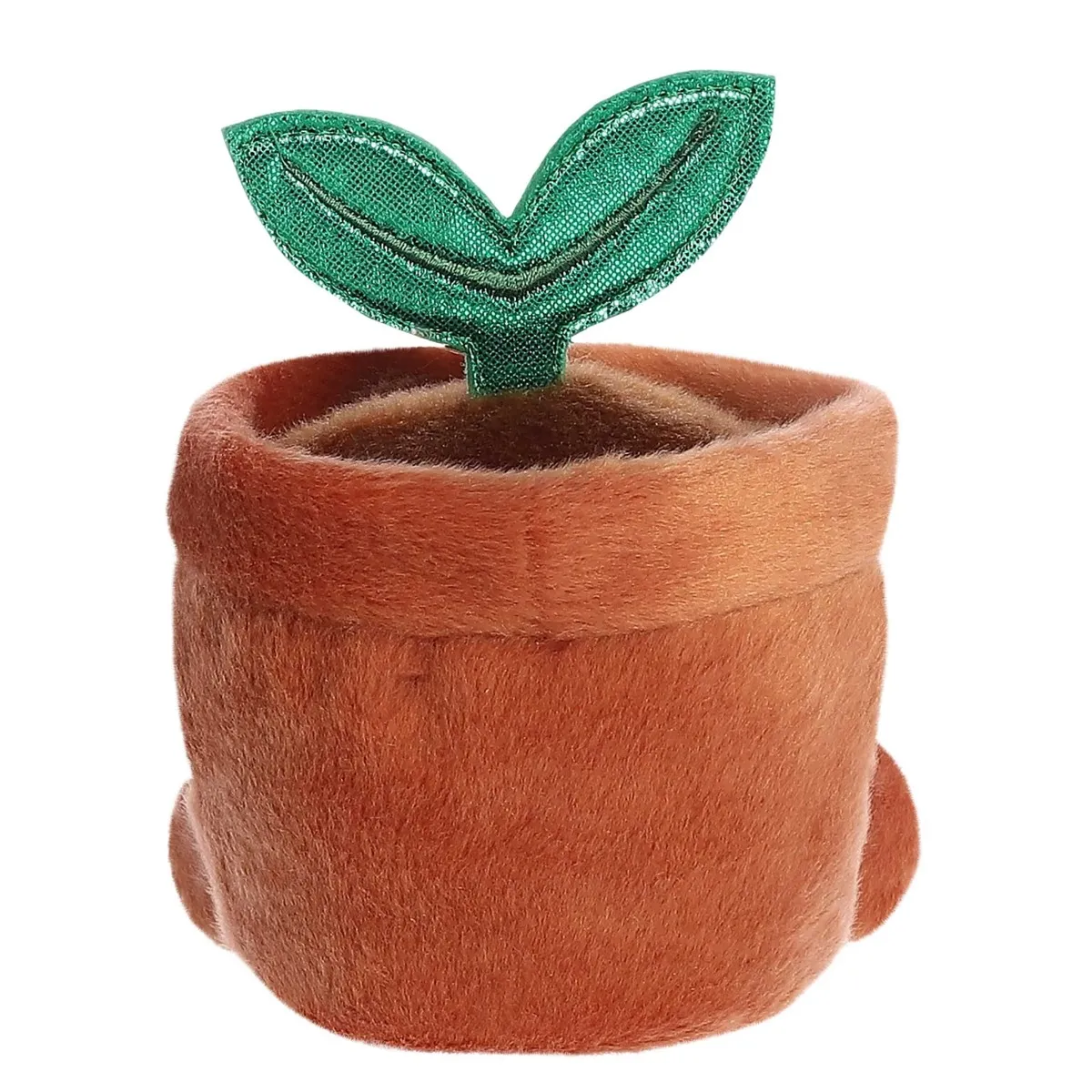 Aurora Plante en Pot