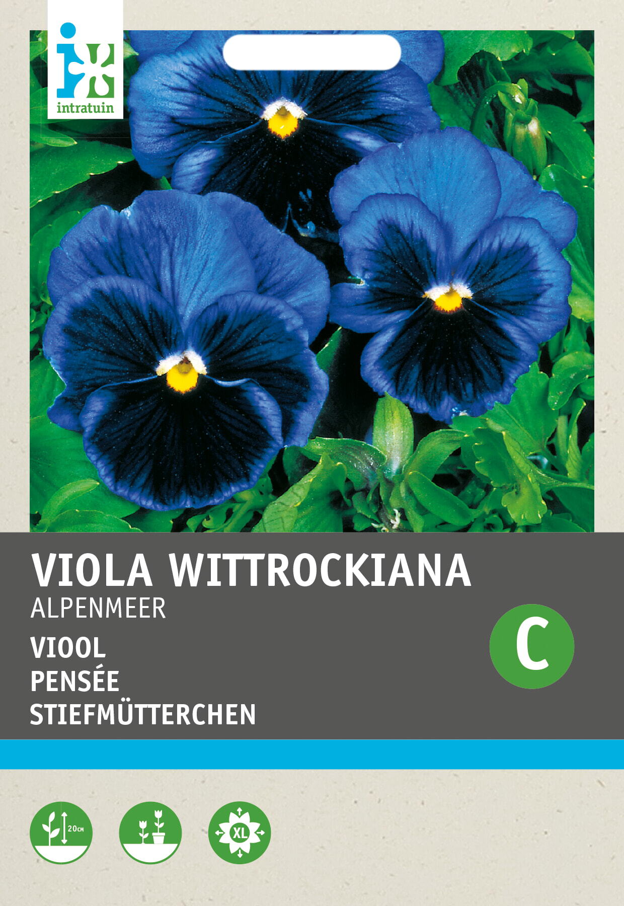 Intratuin bloemenzaad Viooltje donkerblauw (Viola wittrockiana 'Alpenmeer')