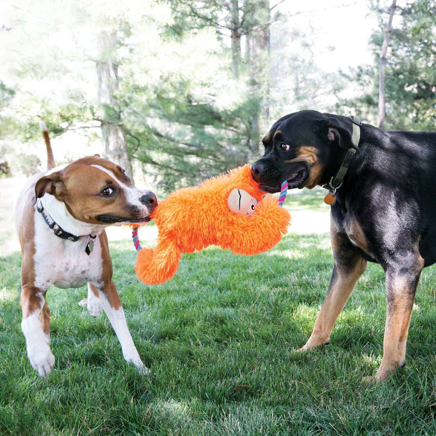 Kong hondenspeelgoed knuffel Tuggz aap oranje 23 x 11 x 42 cm