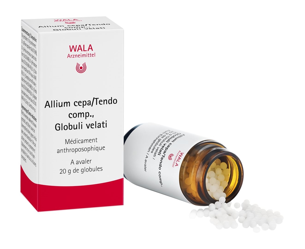 WALA Allium cepa/Tendo comp. Glob Fl 20 g