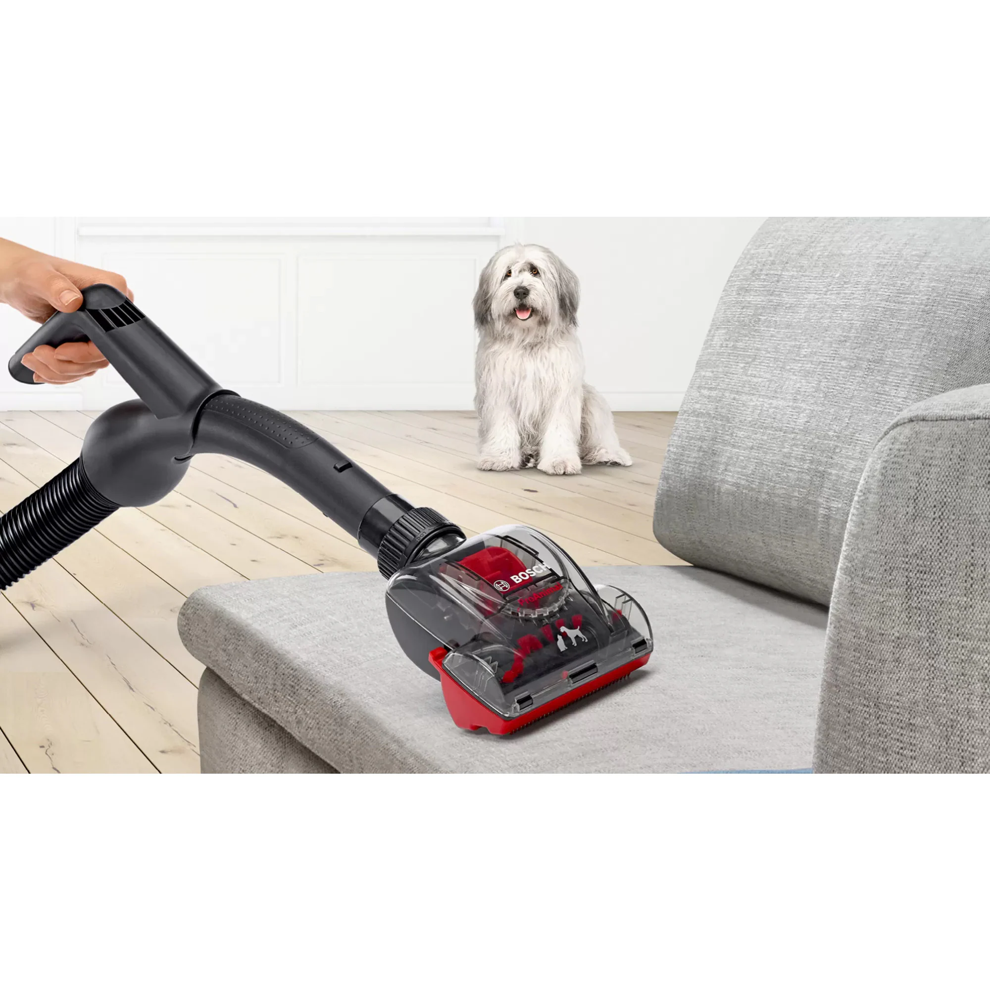 Bosch Bodenstaubsauger Serie 6 ProAnimal BGC41PET