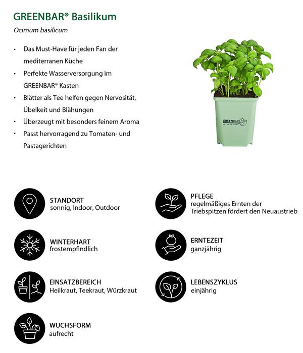 GREENBAR® Basilikum