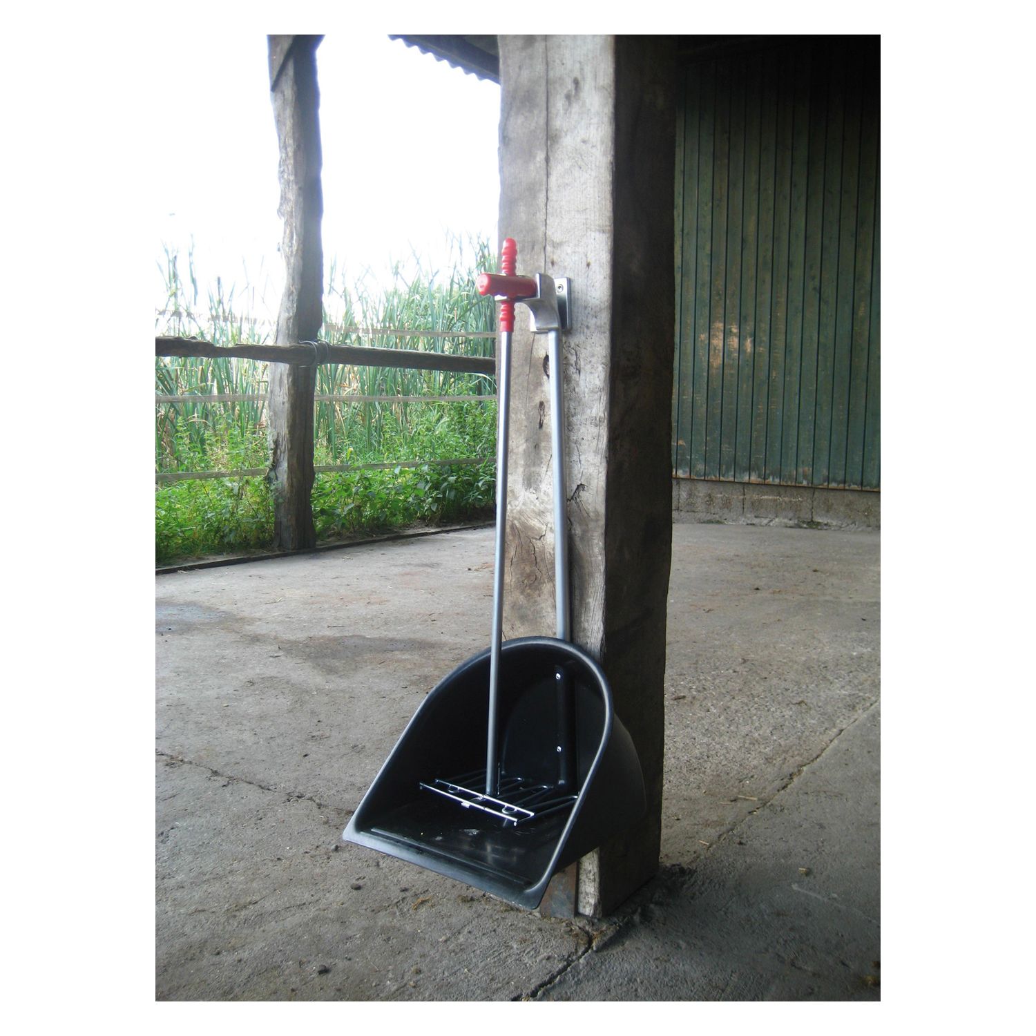 WALDHAUSEN Mistboy-Halter