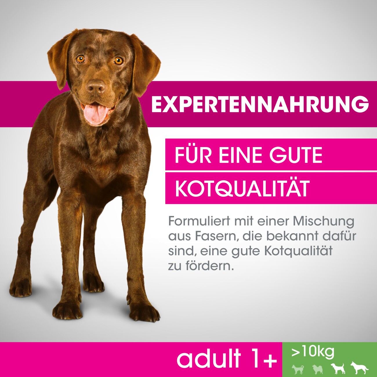 PERFECT FIT Adult 1+ Huhn M/L 6kg