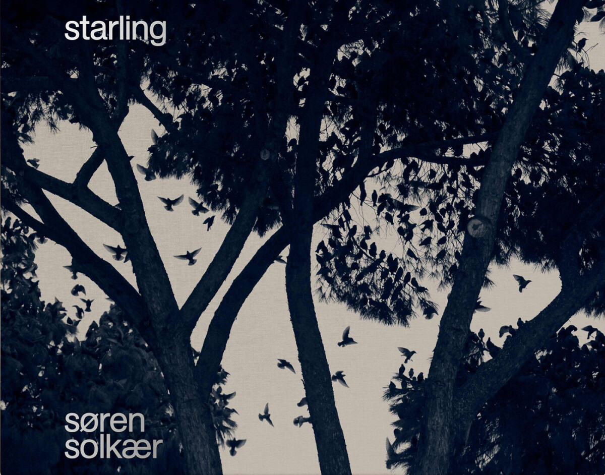 Starling - Søren Solkær - English Book