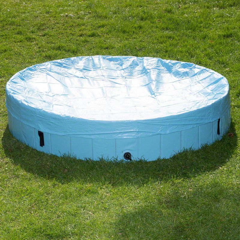 Piscine Dog Pool Keep Cool