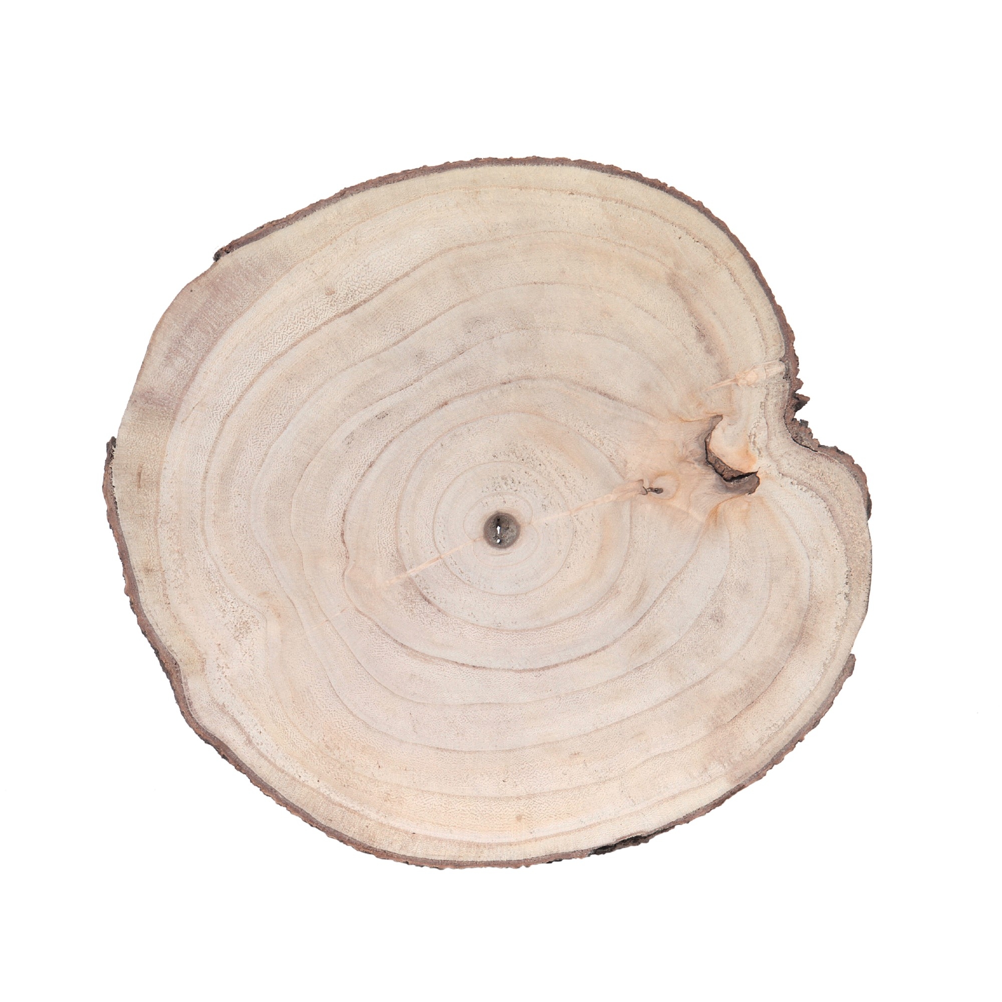 Holzscheiben, unbehandelt, 4er-Pack, natur, Ø 25-30 cm, H 2 cm günstig bestellen
