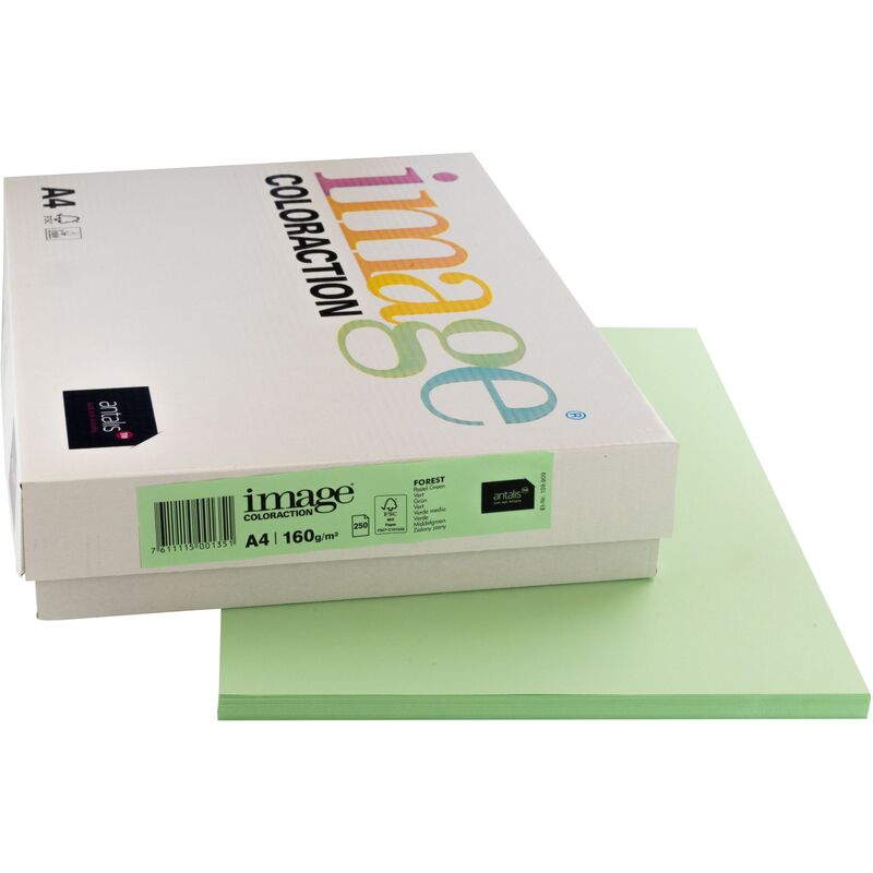 Image Coloraction Papier farbig, A4, 160 g/m², forest grün