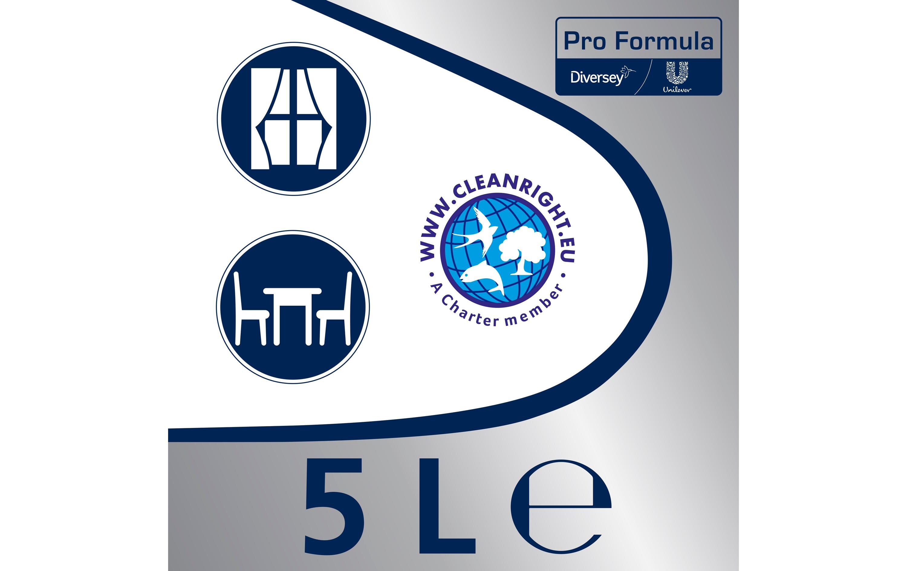 Glasreiniger Cif Professional 5 lFlüssiger Reiniger für Glas und Flächen