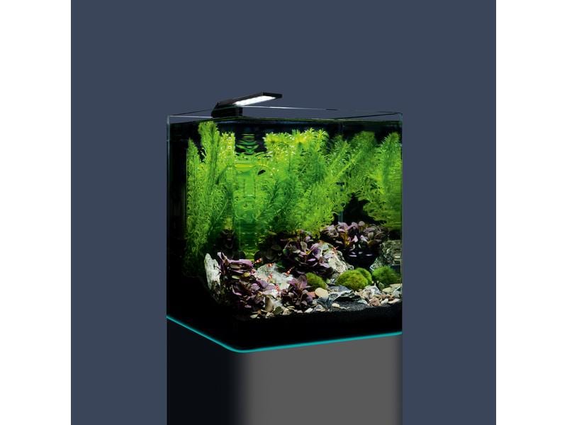 Dennerle Aquarium Nano Cube Complete, 20 l Mini Aquarium Komplettset