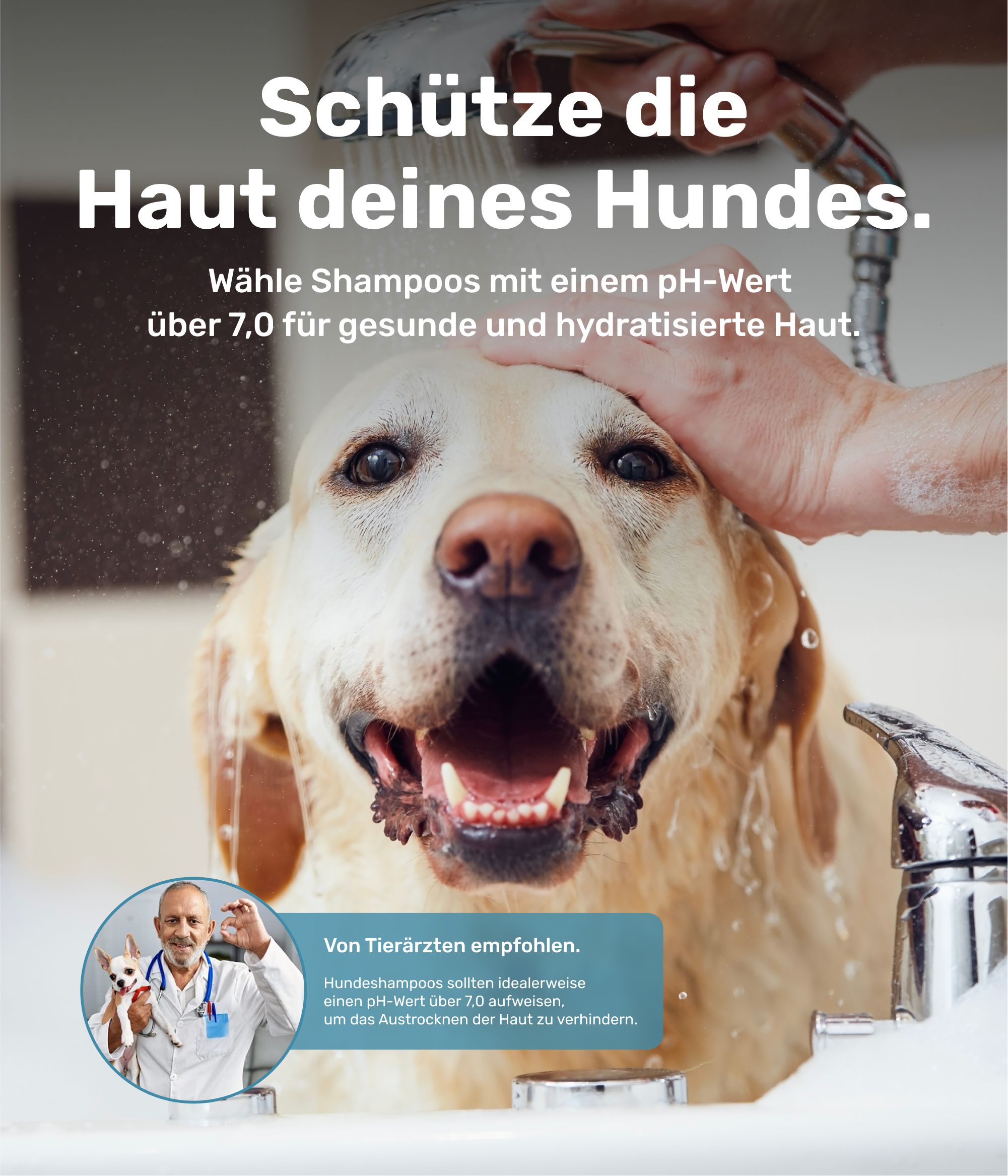 PetTec Hundeshampoo Aloe Vera