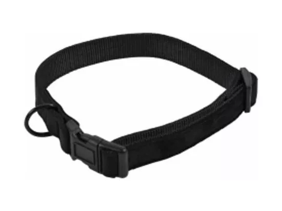 Collier pour Chien 