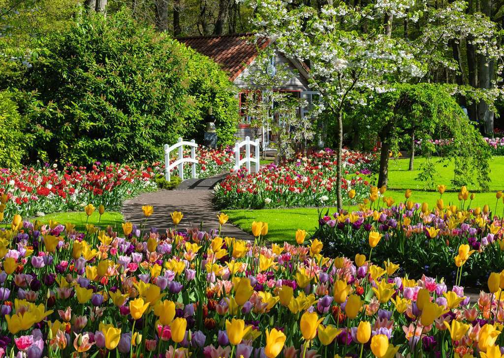 Ravensburger Spiel Keukenhof Gardens, Netherlands