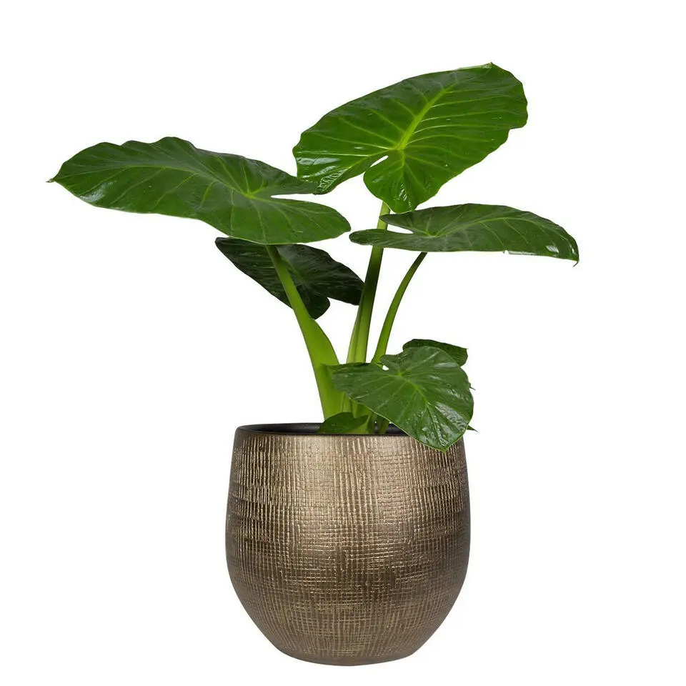 Ter Steege Plantenpot/bloempot - keramiek - metal goud - 31x28cm